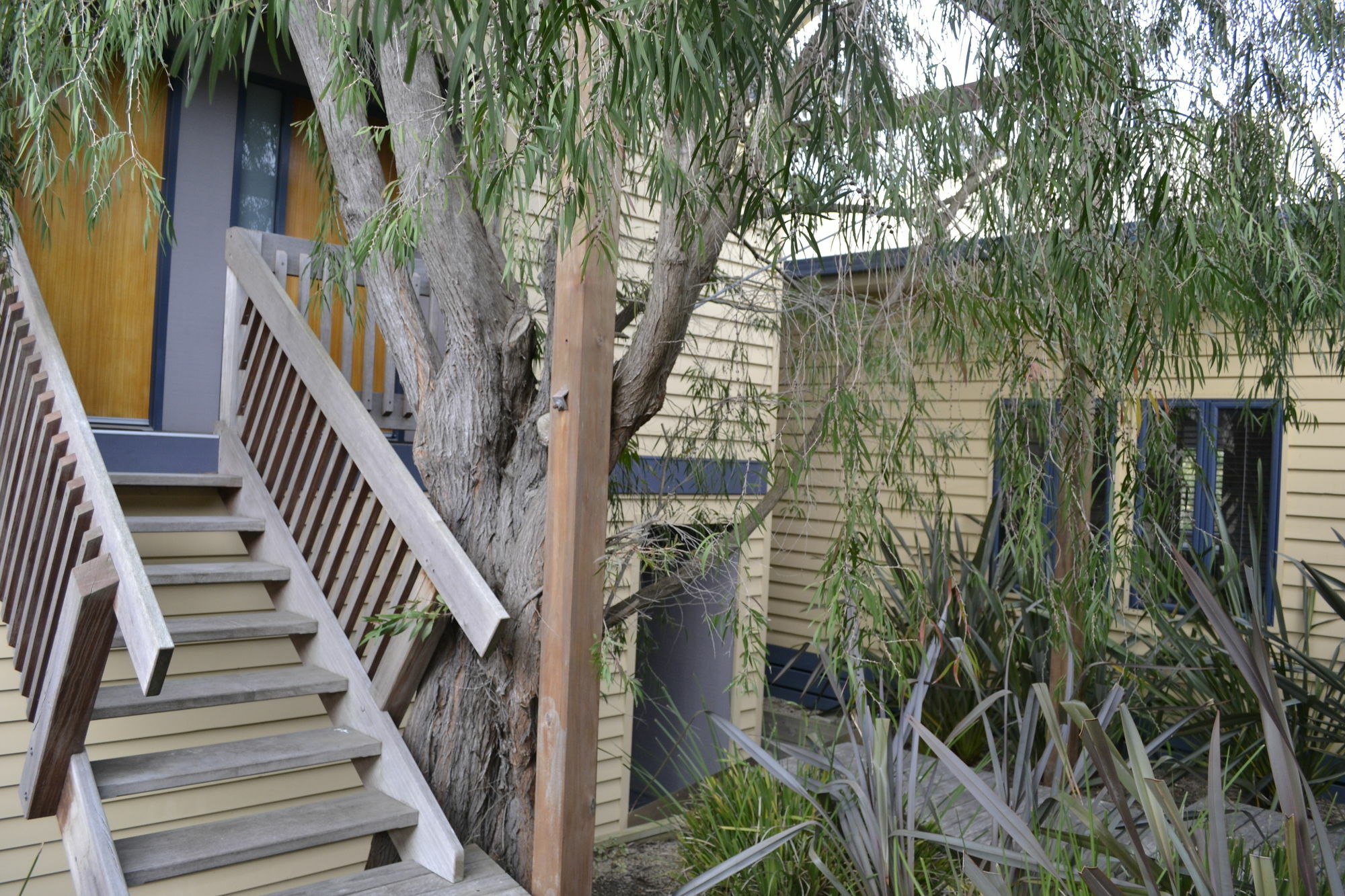 Sandpiper Motel Apollo Bay Eksteriør bilde